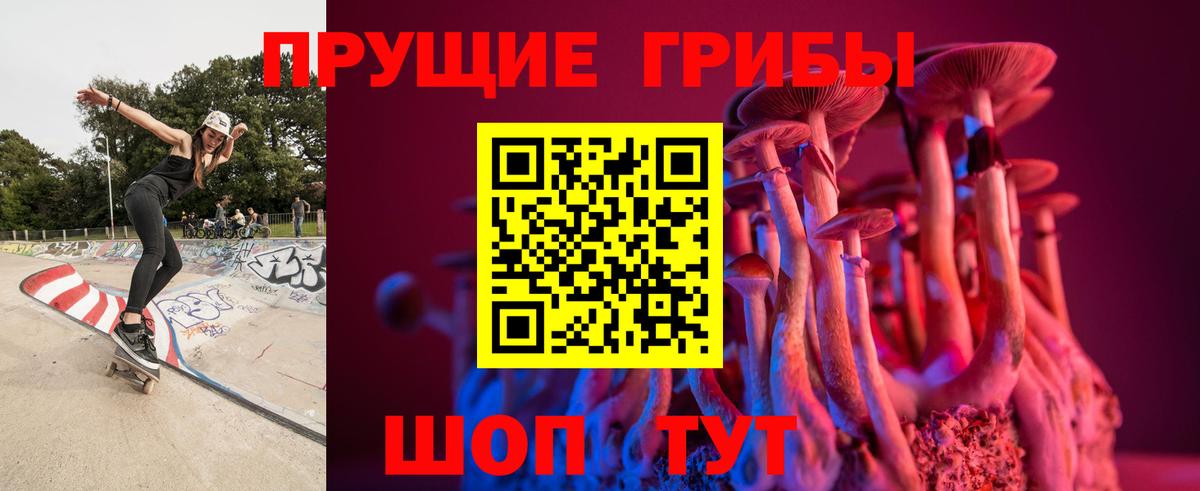 Галлюциногенные грибы MAGIC MUSHROOMS  Вход с VPN  купить  цена  Серпухов 